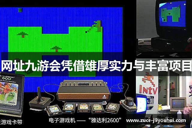 网址九游会凭借雄厚实力与丰富项目